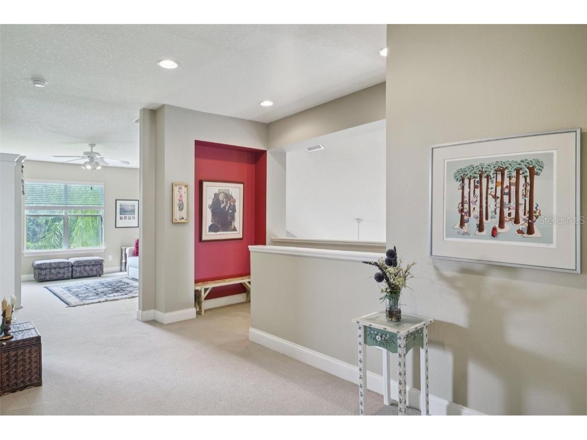 3416 Heards Ferry Drive Tampa FL 33618 TB8414643 image43