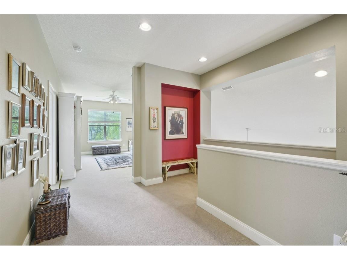 3416 Heards Ferry Drive Tampa FL 33618 TB8414643 image45