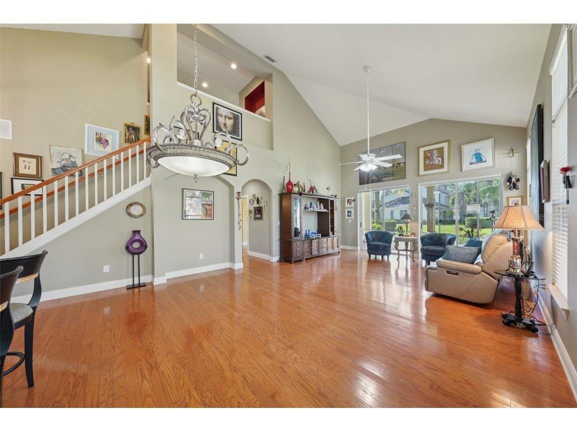 3416 Heards Ferry Drive Tampa FL 33618 TB8414643 image6