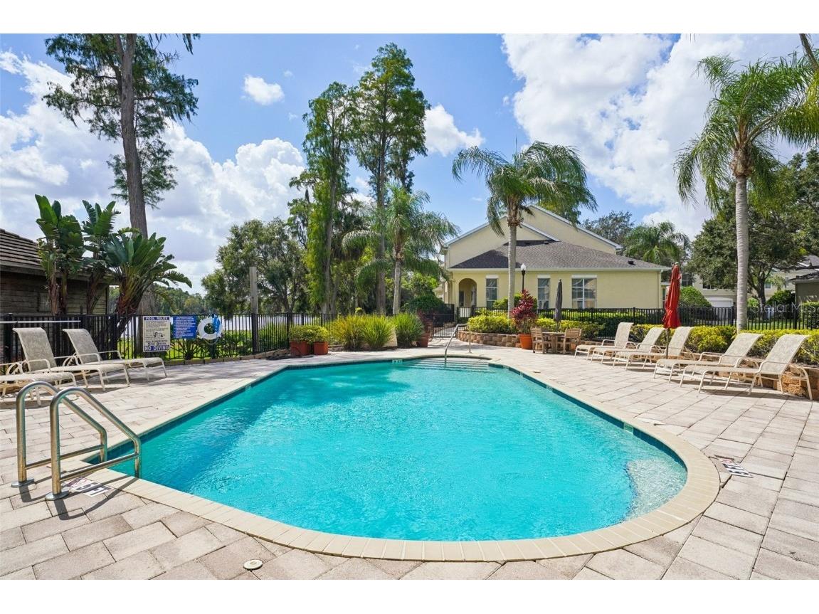 3416 Heards Ferry Drive Tampa FL 33618 TB8414643 image64