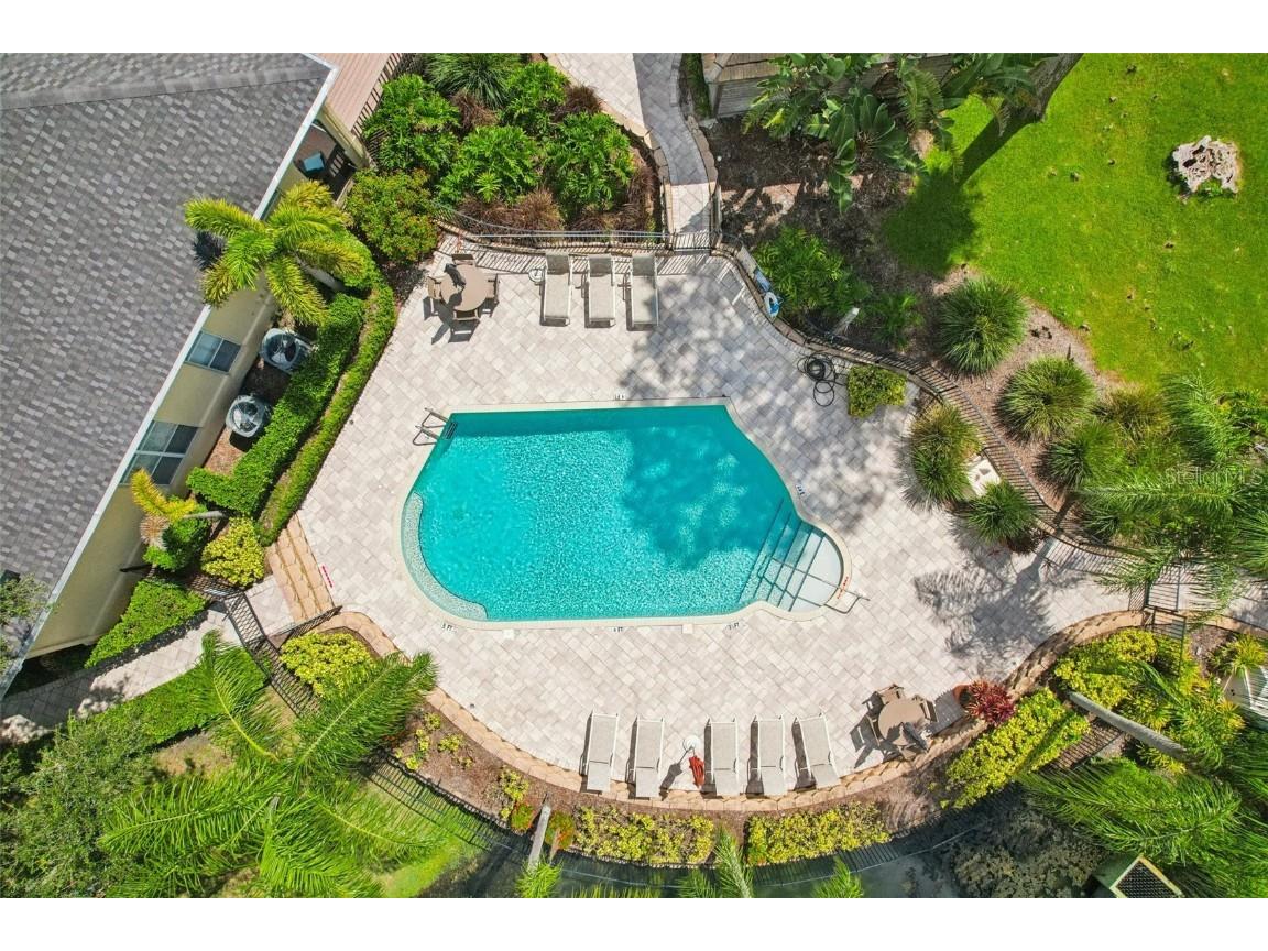 3416 Heards Ferry Drive Tampa FL 33618 TB8414643 image65