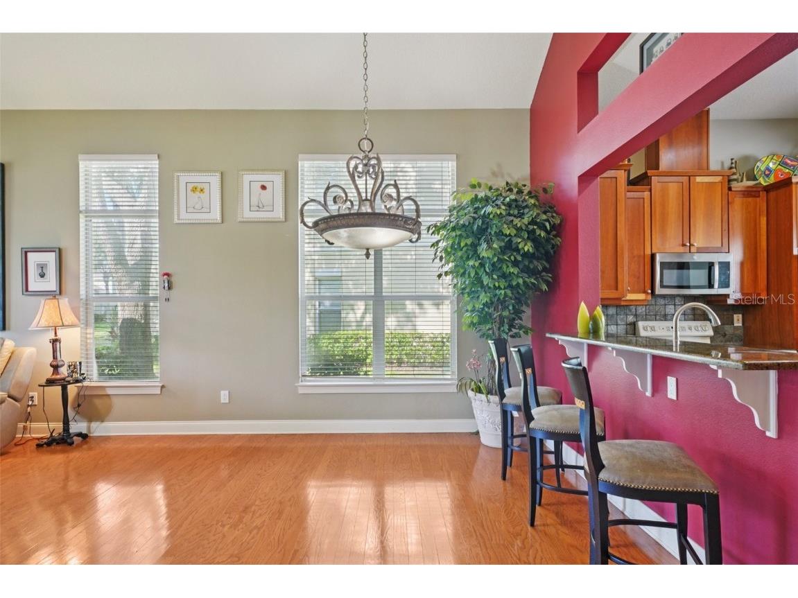 3416 Heards Ferry Drive Tampa FL 33618 TB8414643 image9