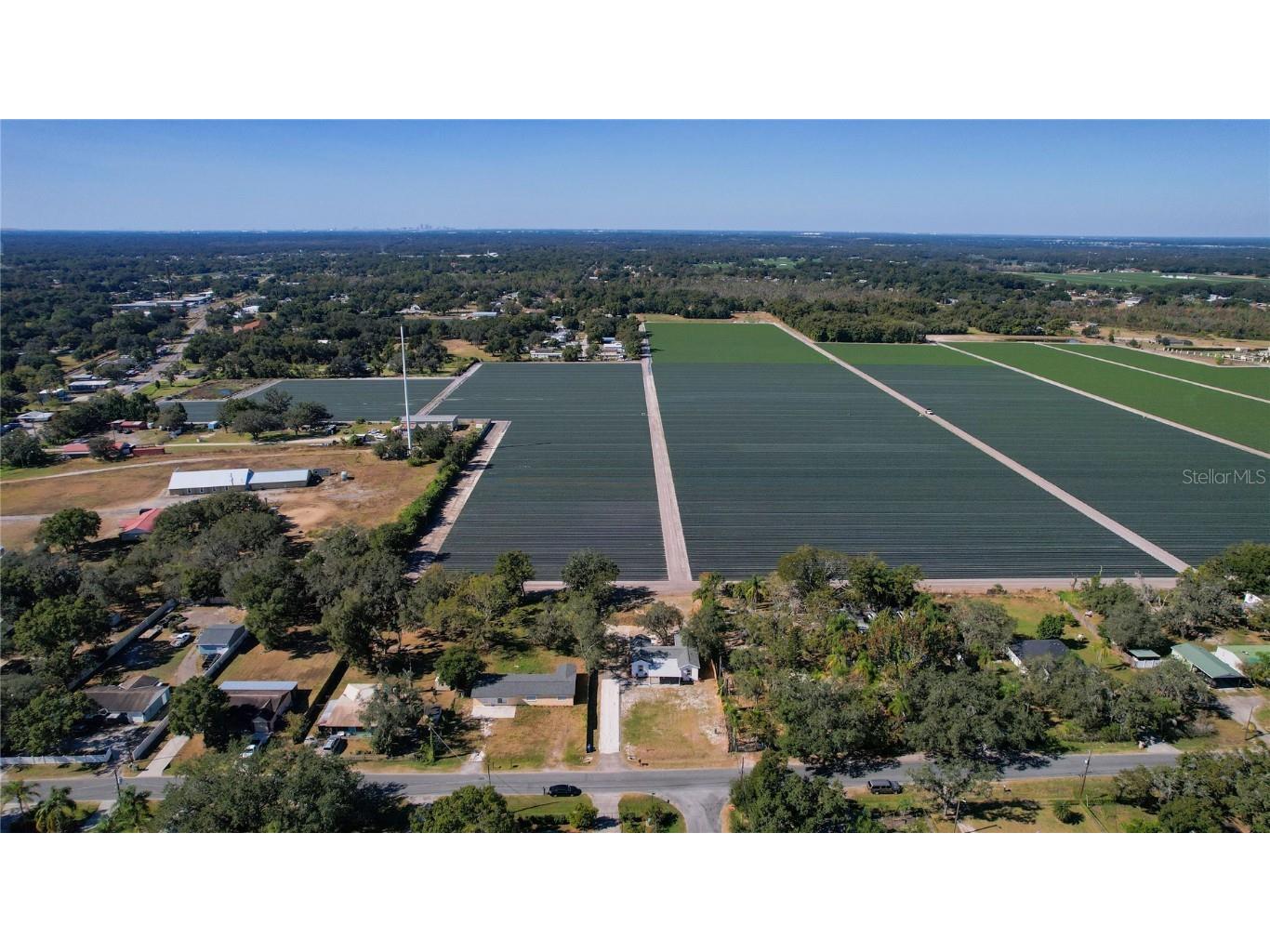 3416 Lindsey Street Dover FL 33527 TB8450046 image38