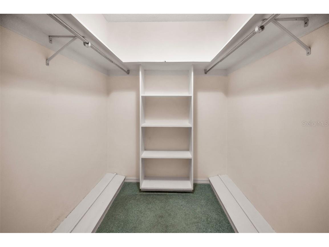 3416 W Morrison Avenue Tampa FL 33629 TB8382797 image28