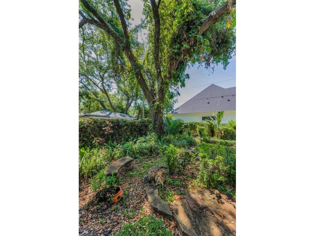 3416 W Morrison Avenue Tampa FL 33629 TB8382797 image45