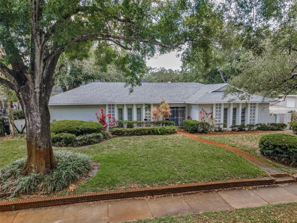 3416 W Morrison Avenue Tampa FL 33629 TB8382797 image52