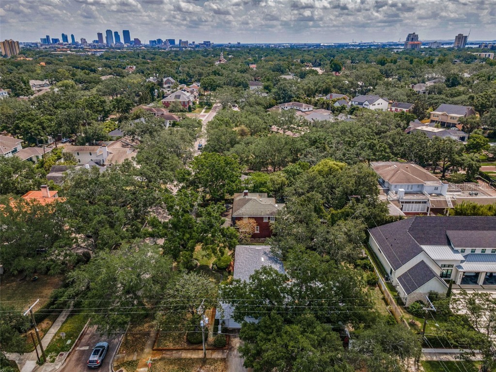 3416 W Morrison Avenue Tampa FL 33629 TB8382797 image55