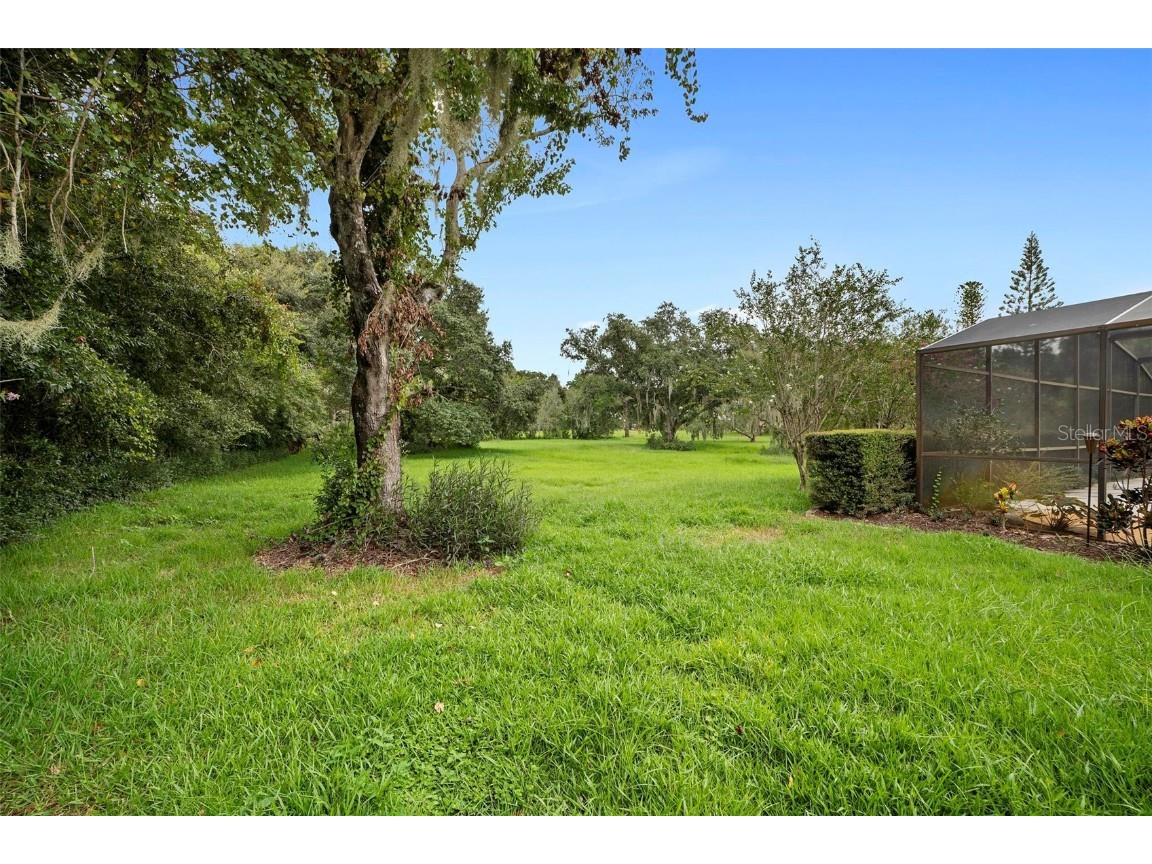 3417 Bay Meadow Ct Windermere FL 34786 O6237287 image47