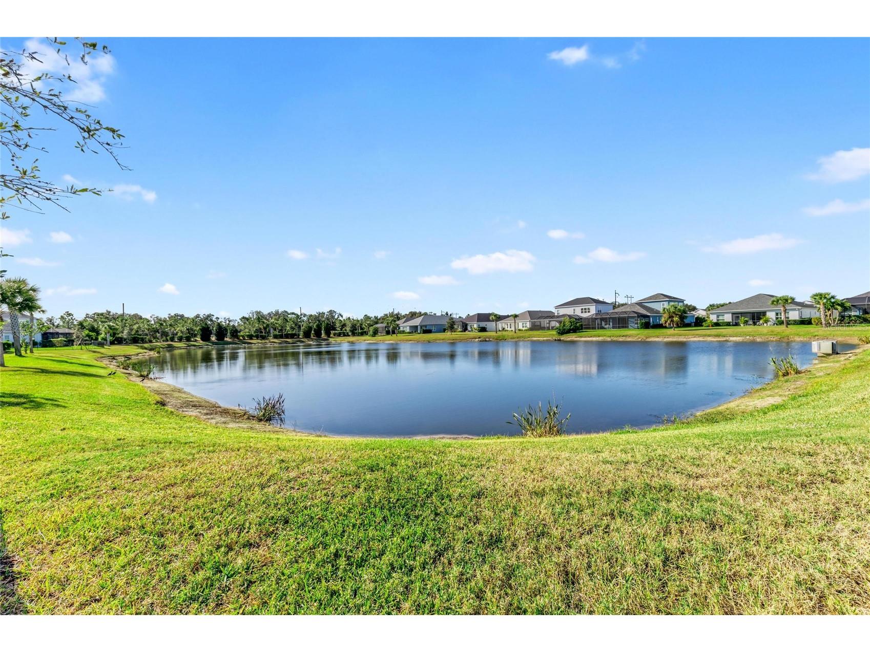 3417 Box Turtle Terrace Parrish FL 34219 A4675275 image35