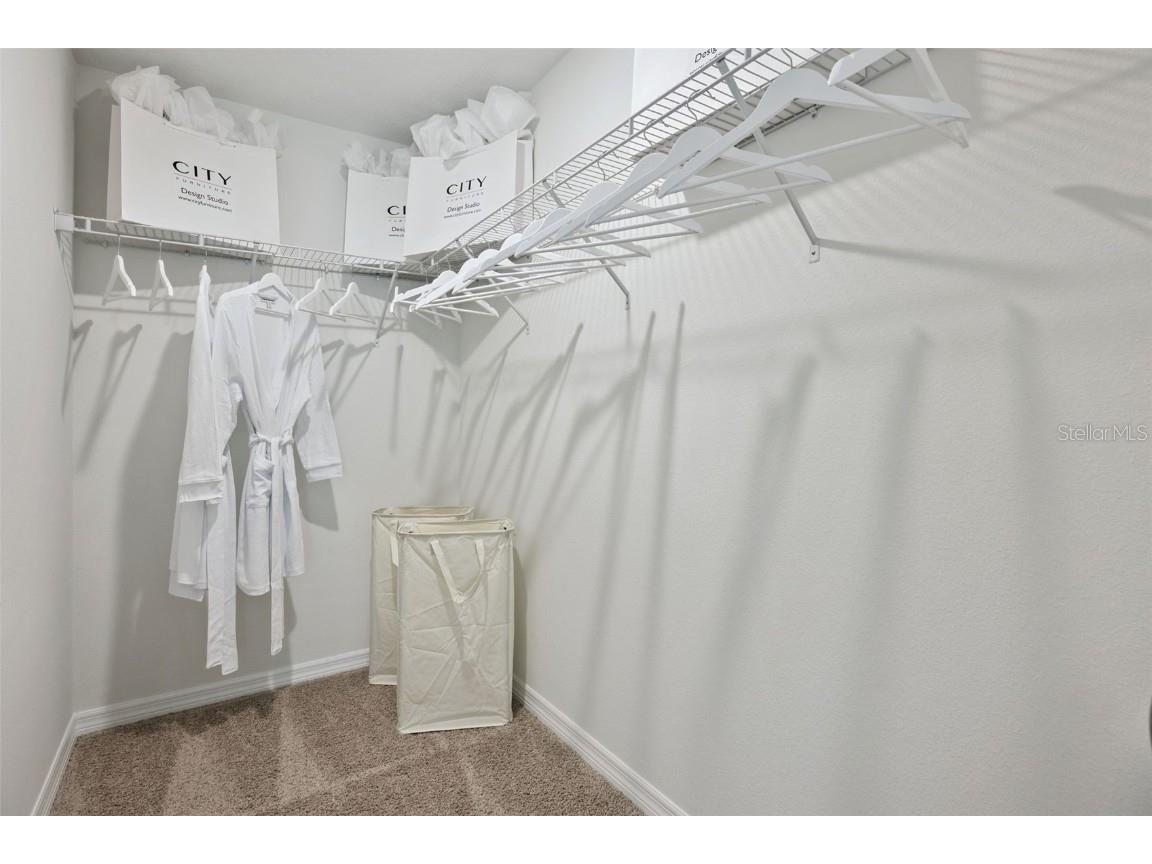 3417 Nettle Loop Tavares FL 32778 O6363332 image27