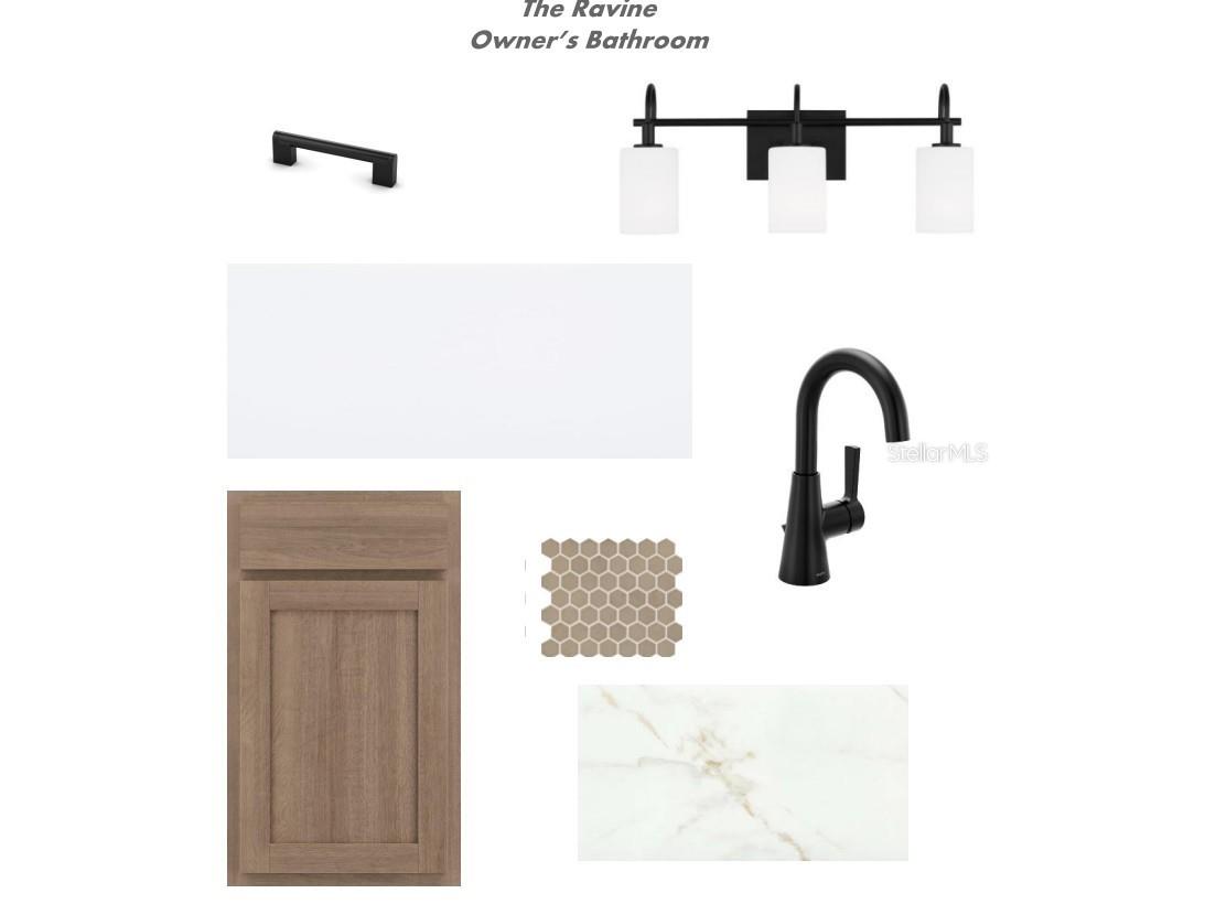 3417 Yellow Cassia Drive Wesley Chapel FL 33543 TB8500072 image6