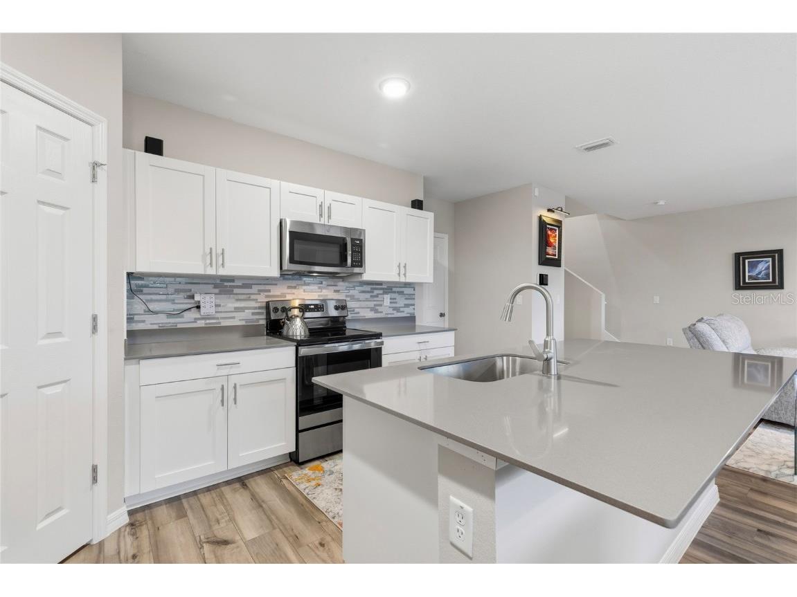 34170 Scarlet Sage Court Wesley Chapel FL 33545 TB8436730 image13