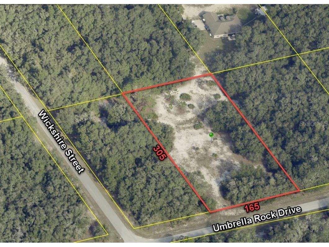 34171 Umbrella Rock Drive Webster FL 33597 O6122858 image1