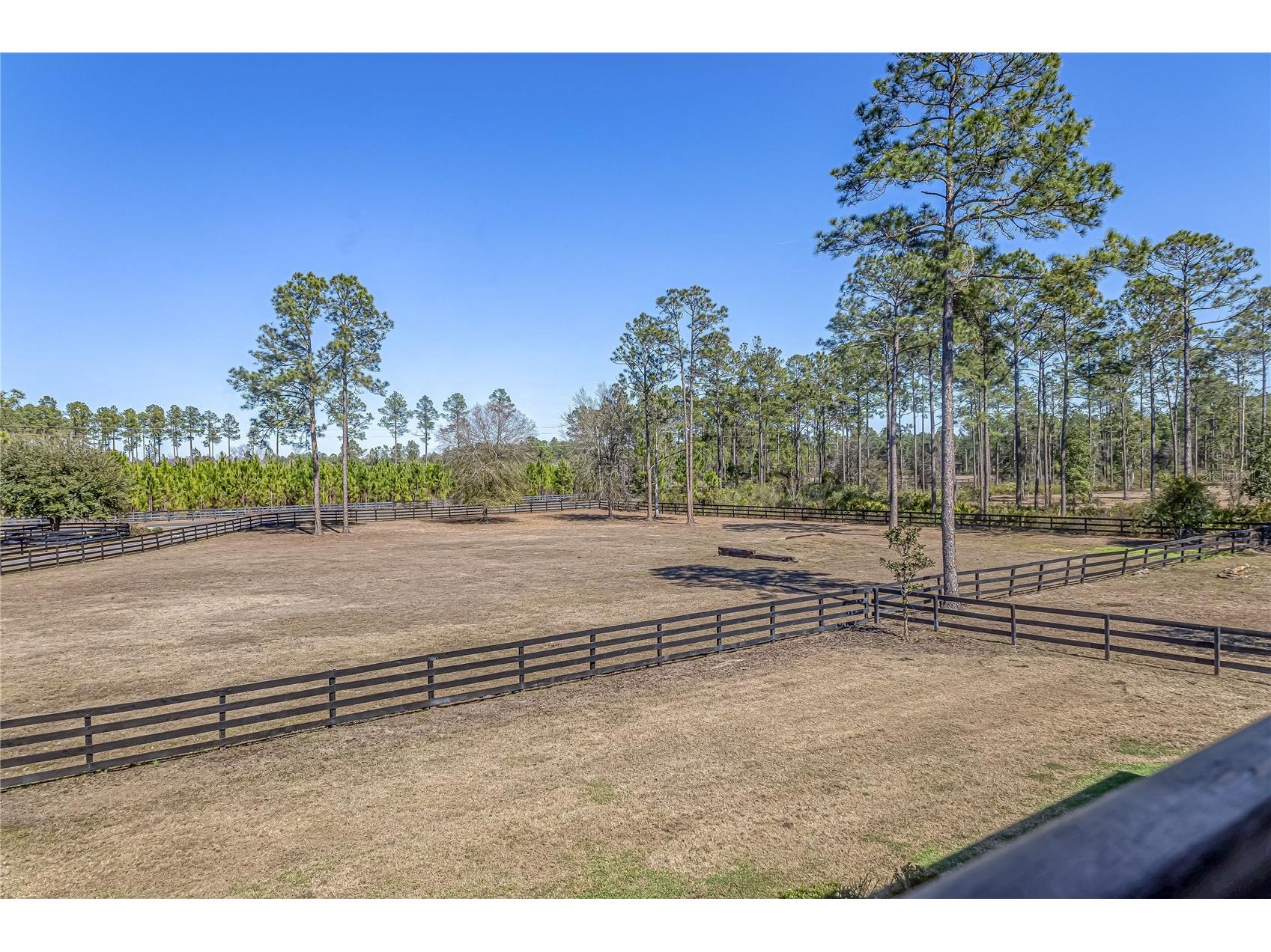34175 Steeple Chase Way Callahan FL 32011 O6386613 image57