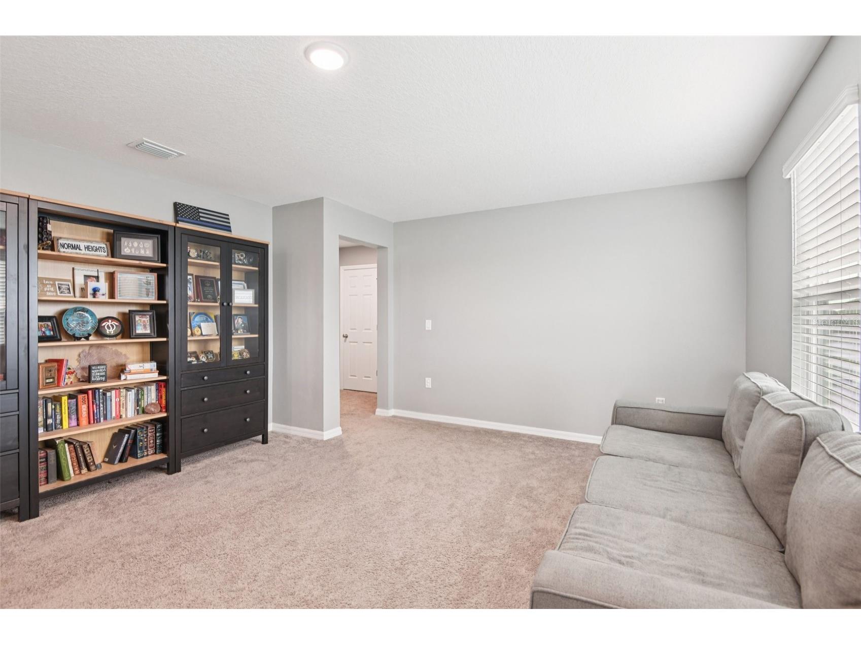 34176 Verbena Street Wesley Chapel FL 33545 TB8422250 image14