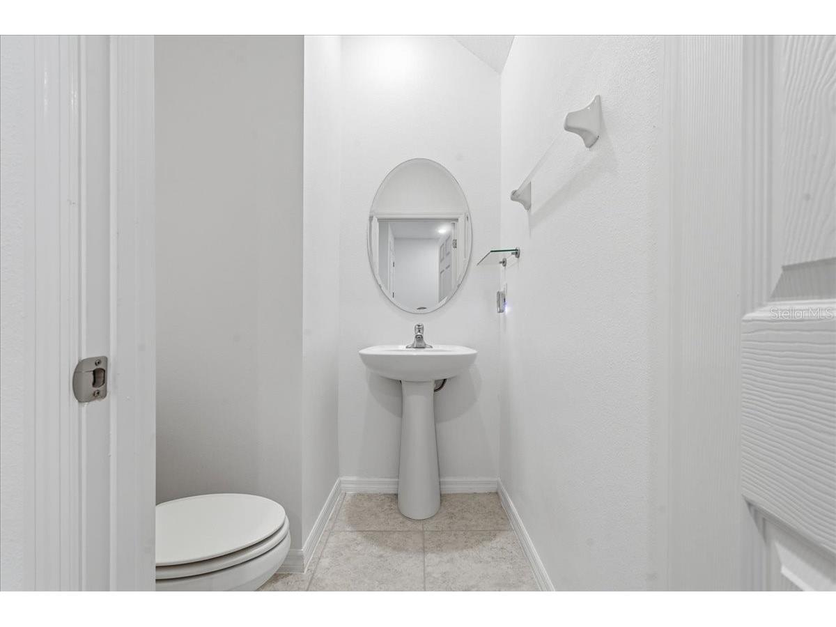 34179 Cinder Way Wesley Chapel FL 33545 TB8503700 image17