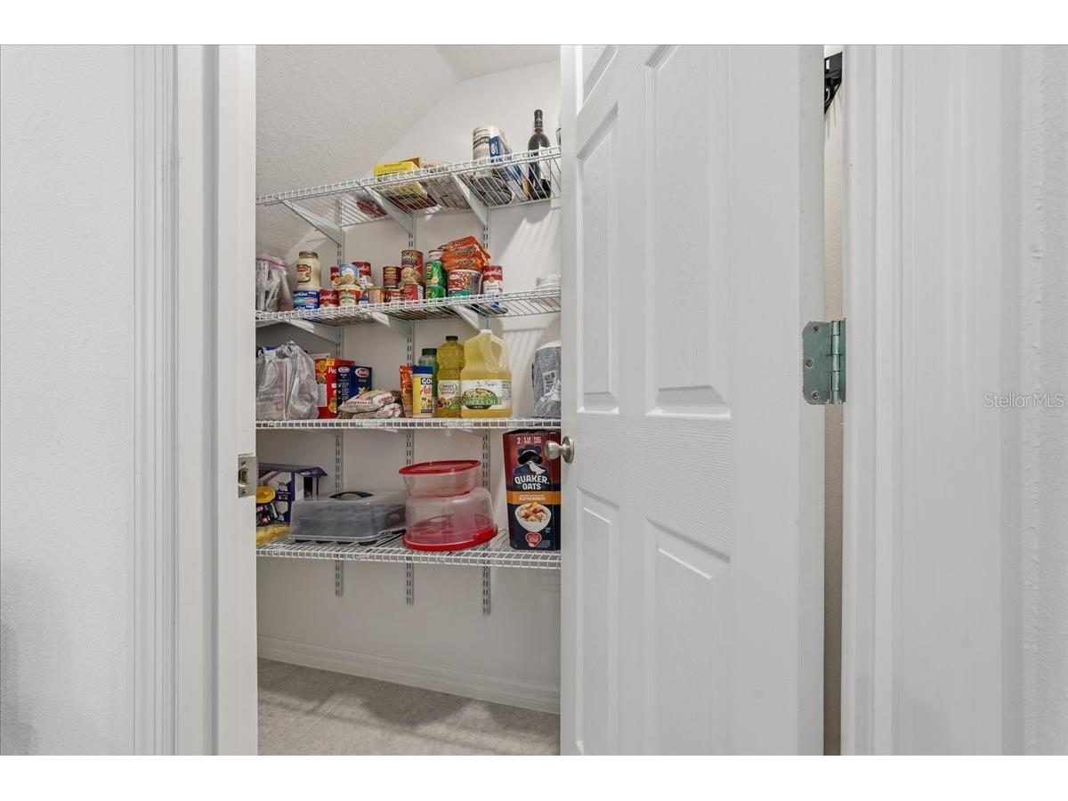 34179 Cinder Way Wesley Chapel FL 33545 TB8503700 image18