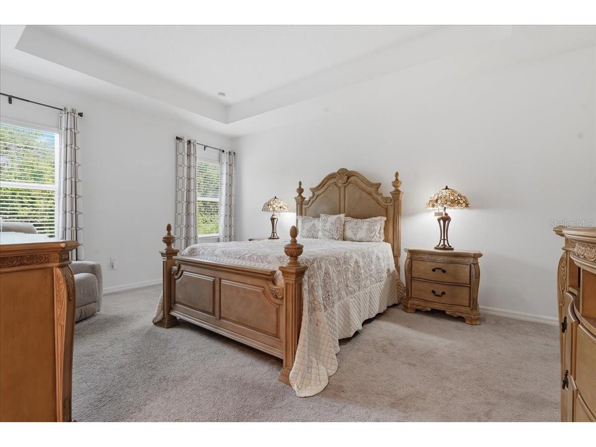 34179 Cinder Way Wesley Chapel FL 33545 TB8503700 image19