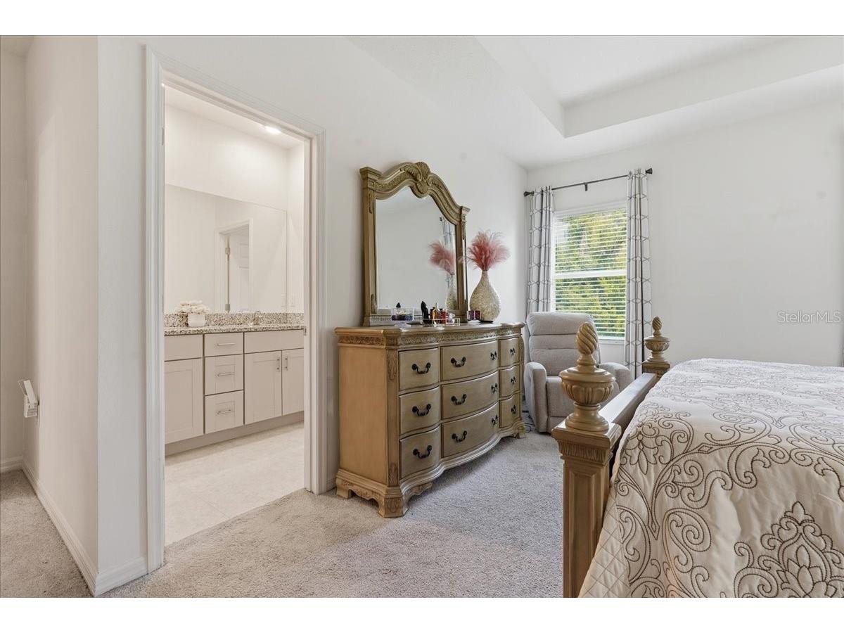 34179 Cinder Way Wesley Chapel FL 33545 TB8503700 image20