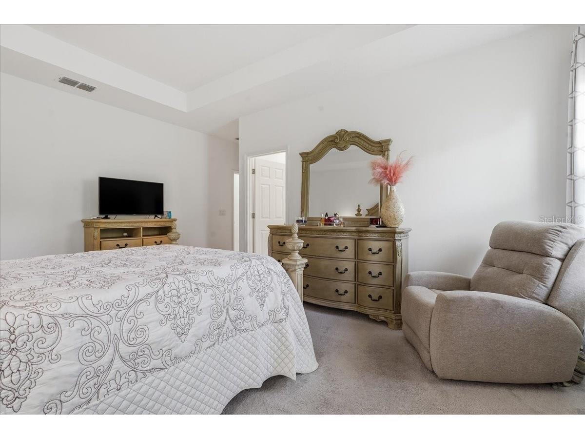 34179 Cinder Way Wesley Chapel FL 33545 TB8503700 image22