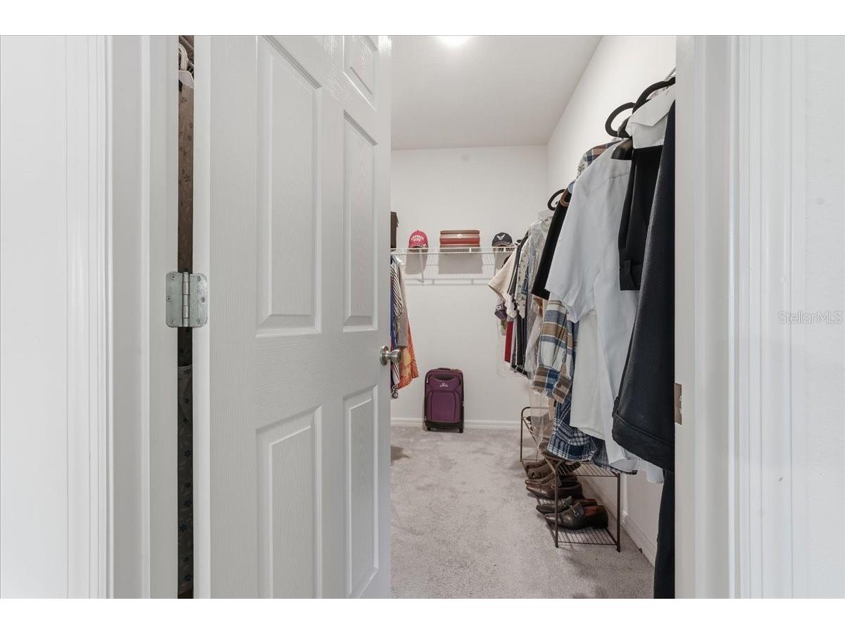 34179 Cinder Way Wesley Chapel FL 33545 TB8503700 image25