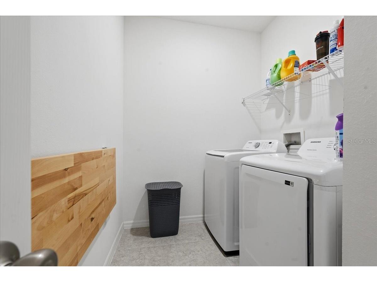 34179 Cinder Way Wesley Chapel FL 33545 TB8503700 image27