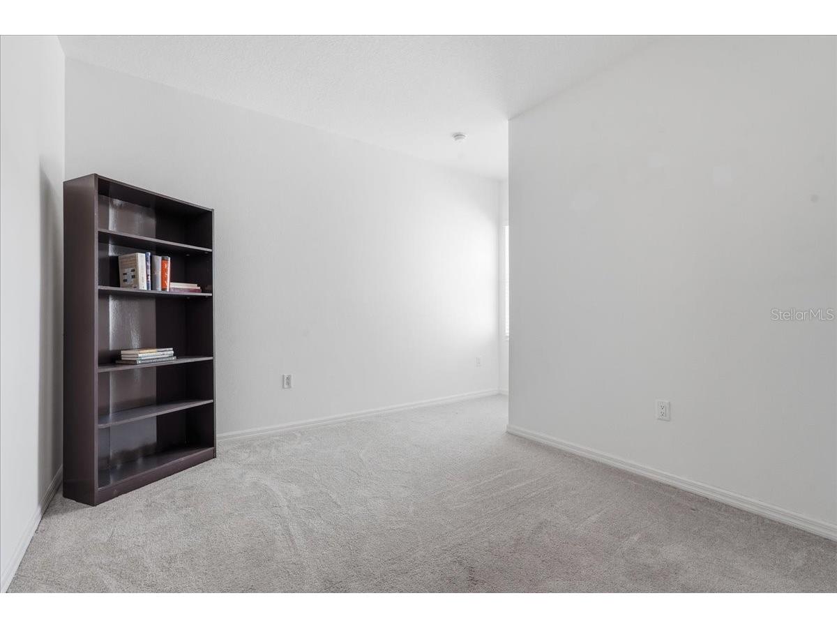 34179 Cinder Way Wesley Chapel FL 33545 TB8503700 image29