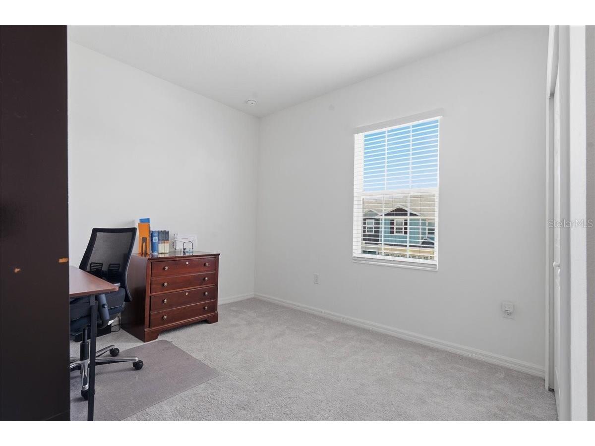 34179 Cinder Way Wesley Chapel FL 33545 TB8503700 image32