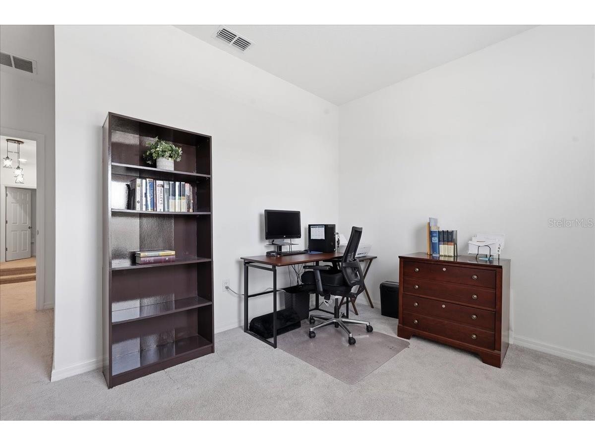 34179 Cinder Way Wesley Chapel FL 33545 TB8503700 image34