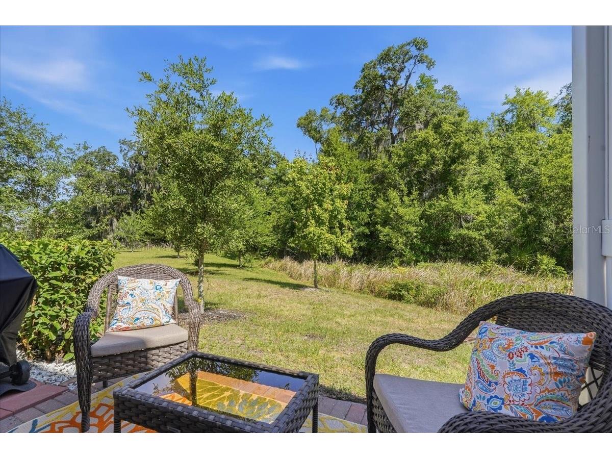 34179 Cinder Way Wesley Chapel FL 33545 TB8503700 image36