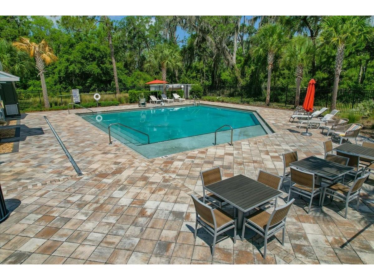 34179 Cinder Way Wesley Chapel FL 33545 TB8503700 image38