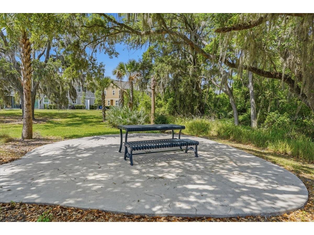 34179 Cinder Way Wesley Chapel FL 33545 TB8503700 image42