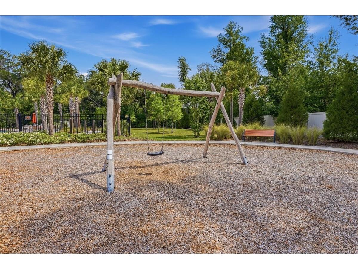 34179 Cinder Way Wesley Chapel FL 33545 TB8503700 image43