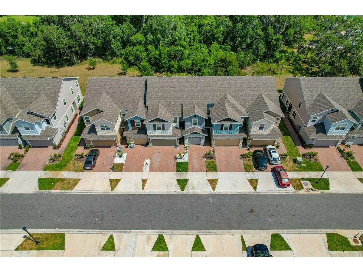 34179 Cinder Way Wesley Chapel FL 33545 TB8503700 image44