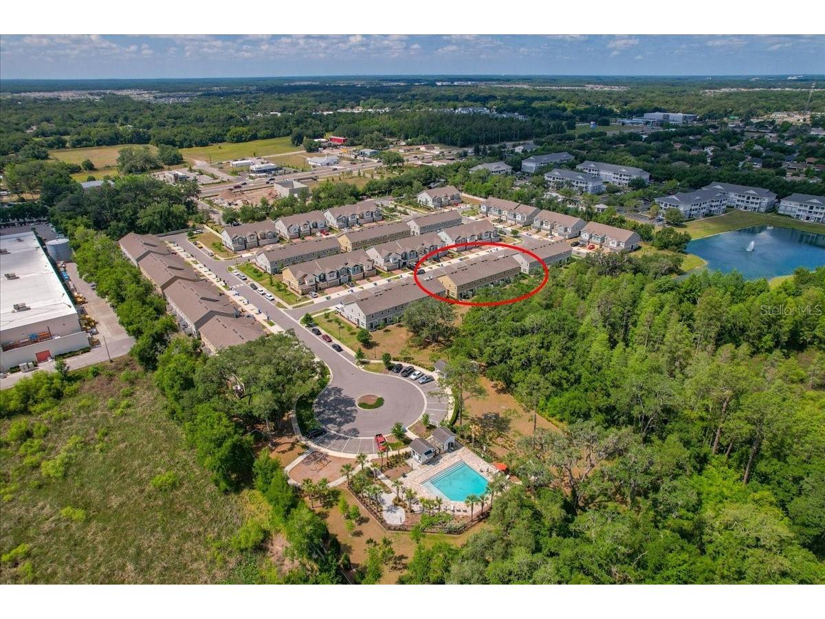 34179 Cinder Way Wesley Chapel FL 33545 TB8503700 image47