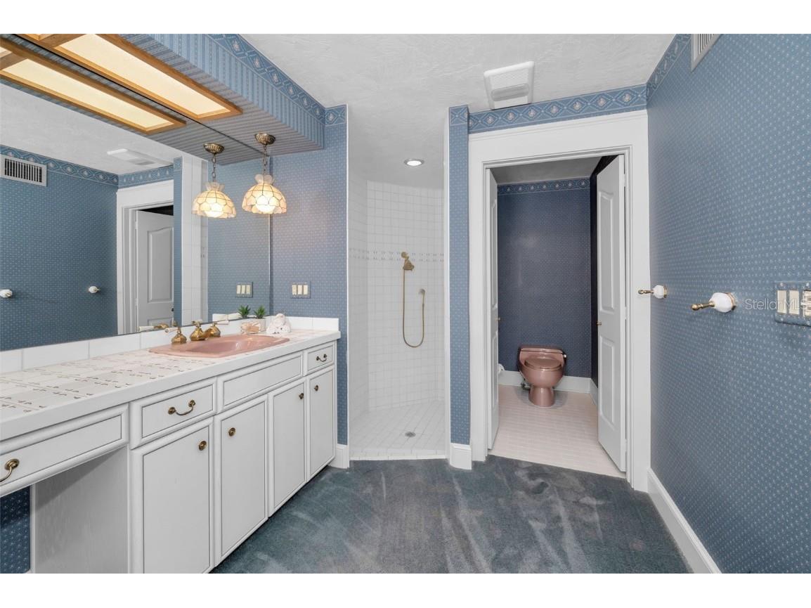 3418 Braeside Place Clearwater FL 33759 - TAMPA BAY TB8312911 image39