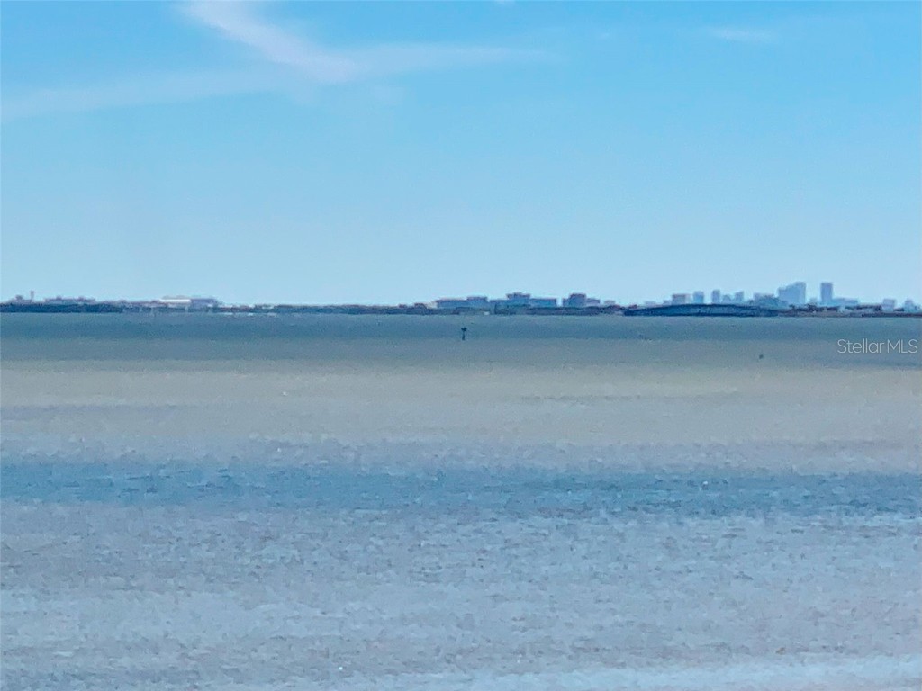 3418 Braeside Place Clearwater FL 33759 - TAMPA BAY TB8312911 image50