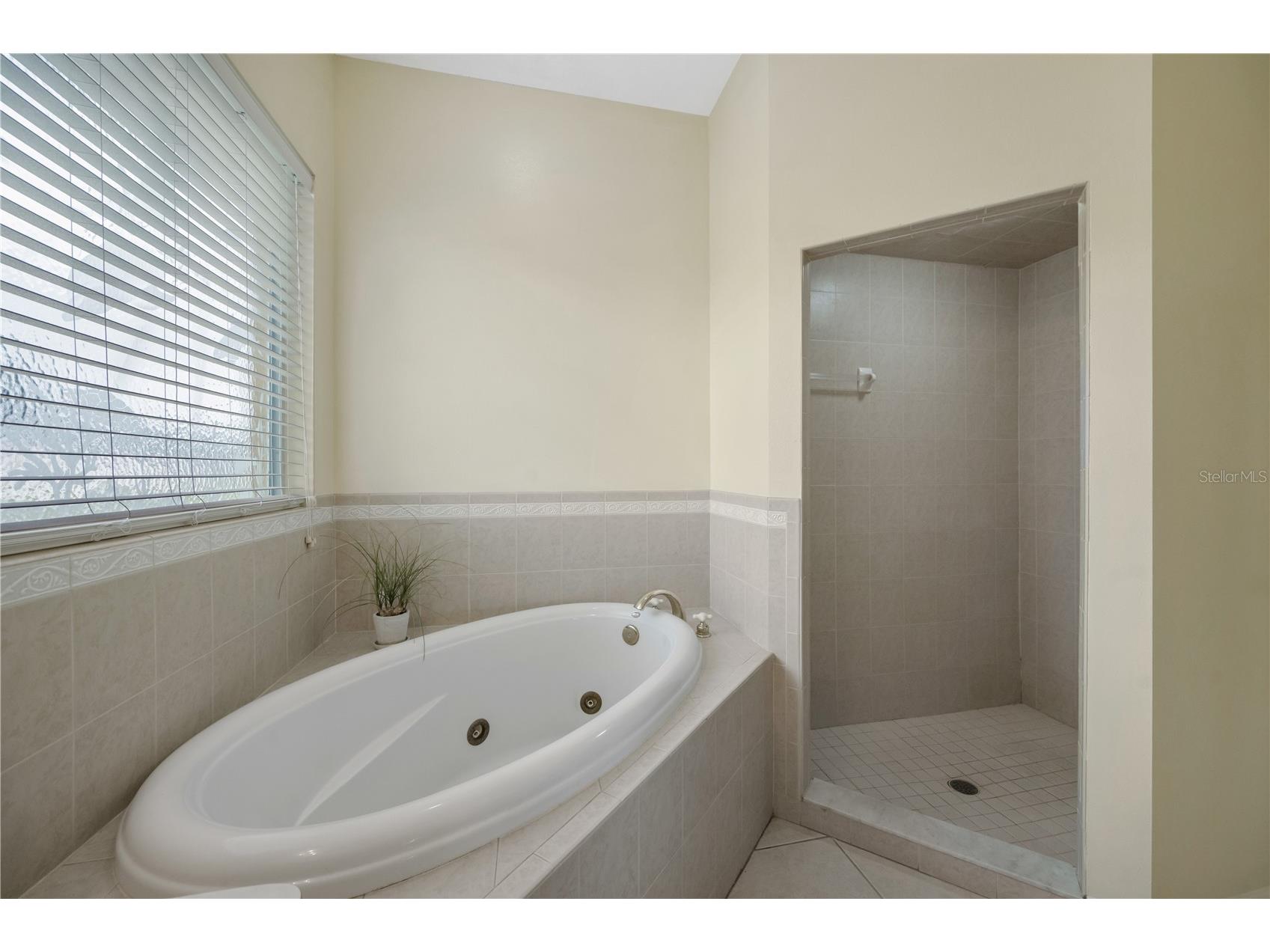 3418 Futch Road Plant City FL 33566 TB8492993 image15