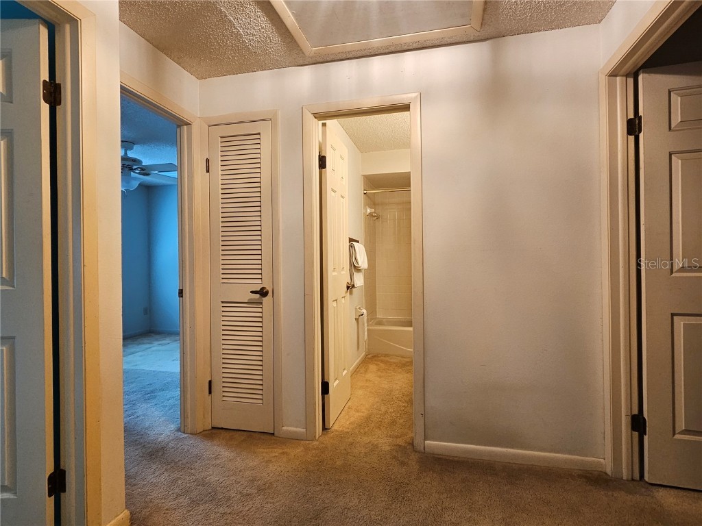 3418 W Saint Conrad Street Tampa FL 33607 A4665704 image11