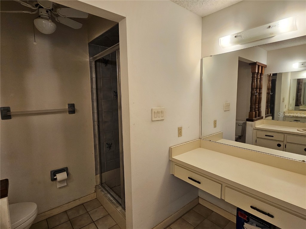 3418 W Saint Conrad Street Tampa FL 33607 A4665704 image16