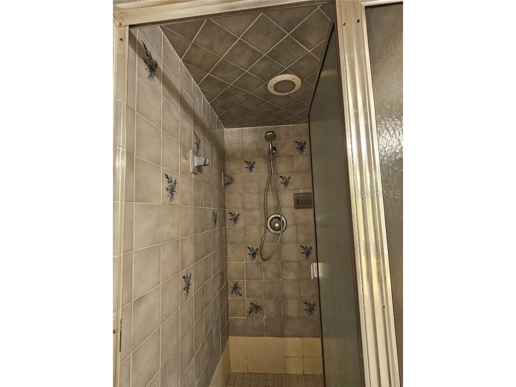 3418 W Saint Conrad Street Tampa FL 33607 A4665704 image17