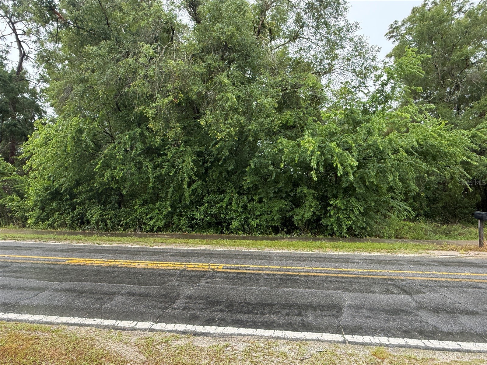 34184 Ridge Manor Blvd Dade City FL 33523 TB8509449 image2