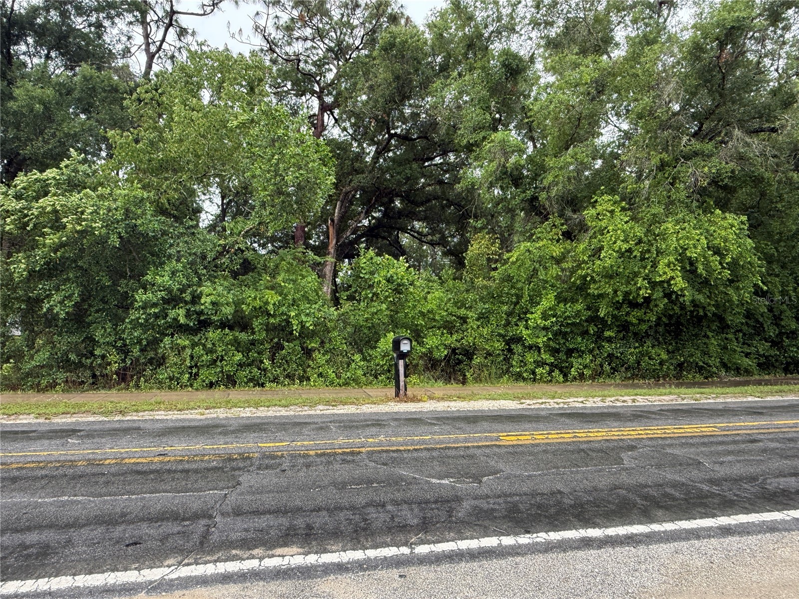 34184 Ridge Manor Blvd Dade City FL 33523 TB8509449 image4