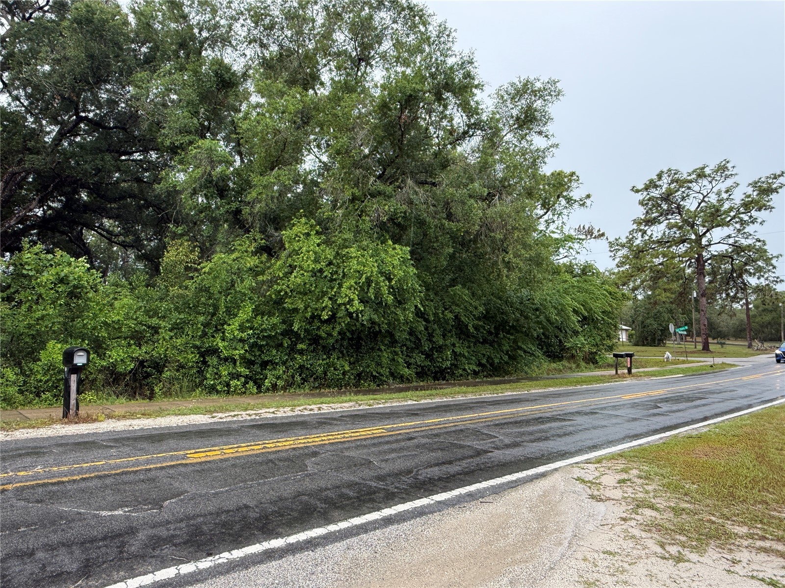 34184 Ridge Manor Blvd Dade City FL 33523 TB8509449 image5
