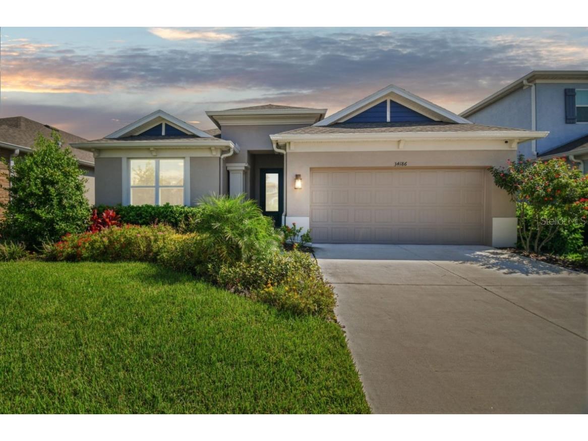 34186 Evergreen Hill Court Wesley Chapel FL 33545 T3550807 image1