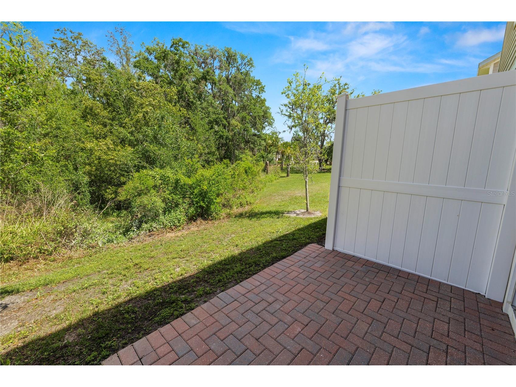 34187 Cinder Way Wesley Chapel FL 33545 TB8501331 image24
