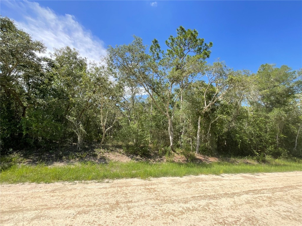 34188 Mineral Stone Drive Webster FL 33597 G5072057 image1