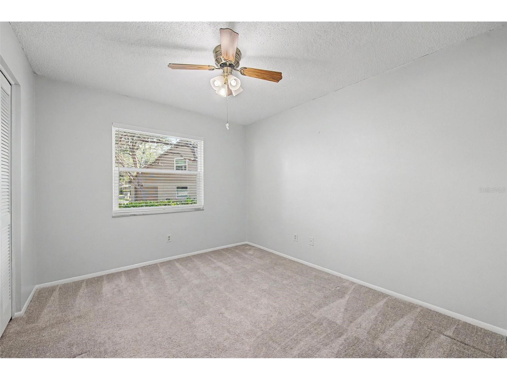 3419 Annette Court Clearwater FL 33761 TB8529326 image24