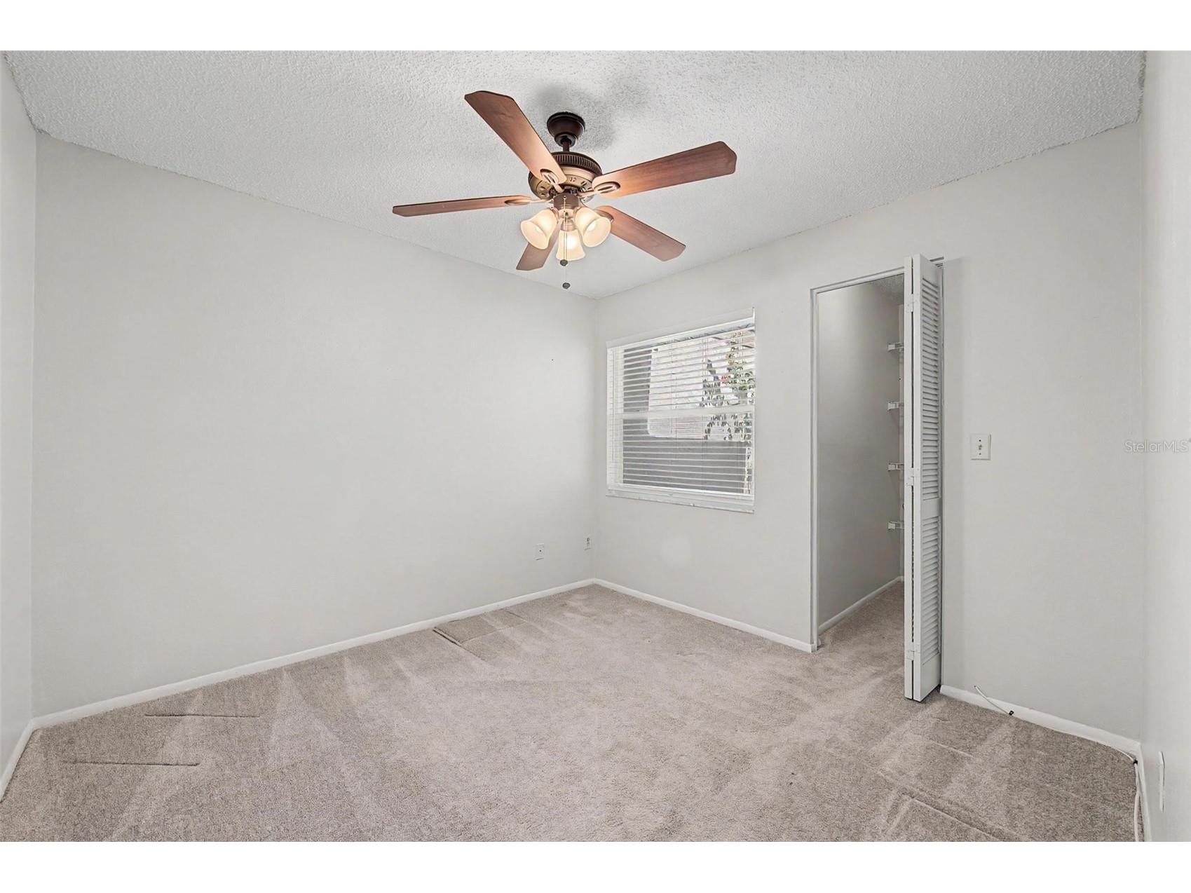 3419 Annette Court Clearwater FL 33761 TB8529326 image26