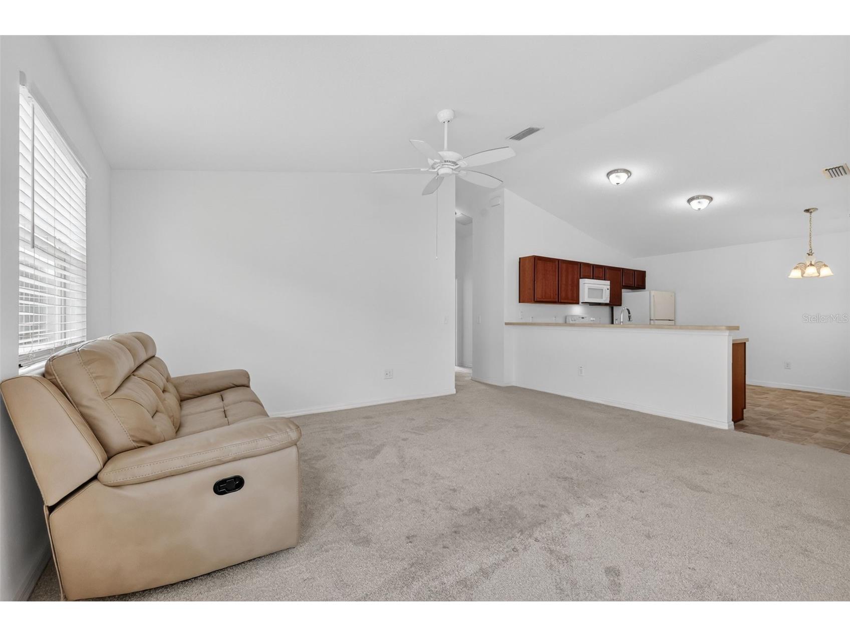 3419 Carrabelle Court The Villages FL 32163 G5113373 image16